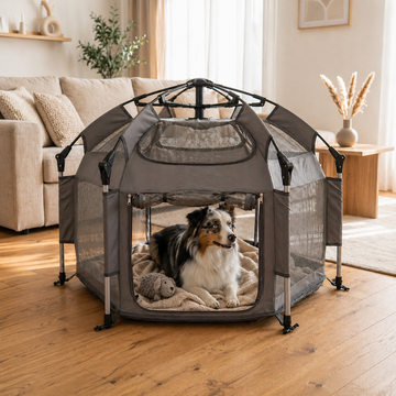 Gray pop-up dog play tent in a living room with a dog resting on a bed inside
