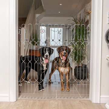 Dogs behind a white dog gate in a hallway — measure before you buy