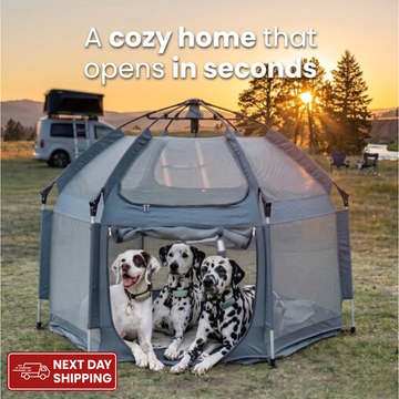 Pop-Up Dog Play Tent with dogs outdoors