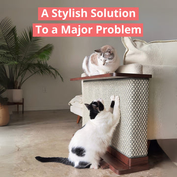 CozeCats Side Table