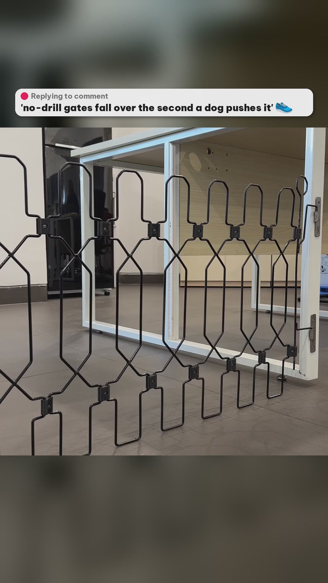 Real kick test: Dog Safety Gate Plus mounted on 3M adhesive brackets